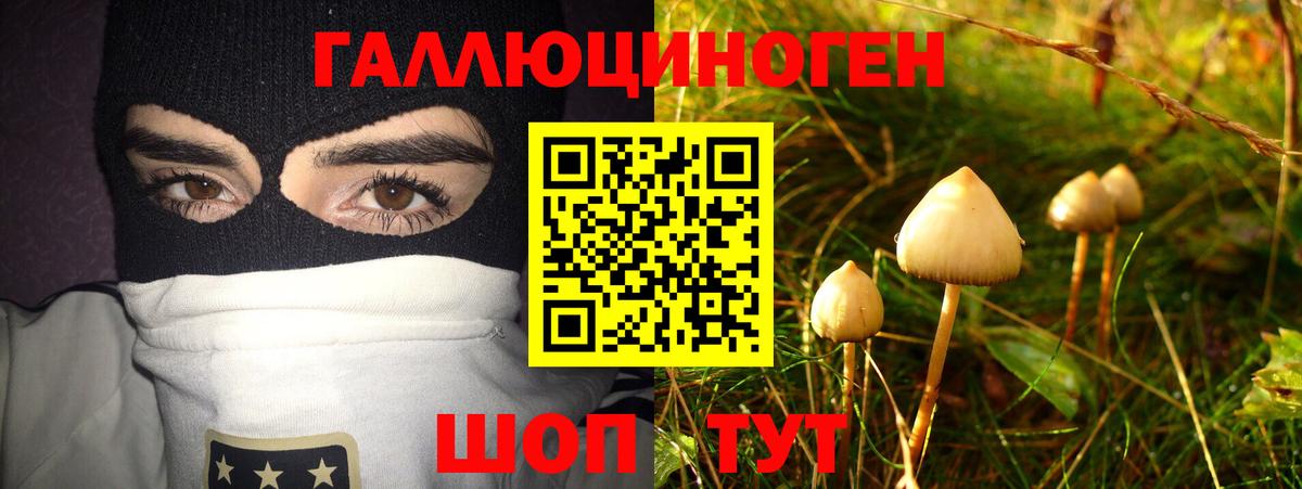 Мурманск  где найти наркотики  Вход с VPN  Псилоцибиновые грибы Magic Shrooms 